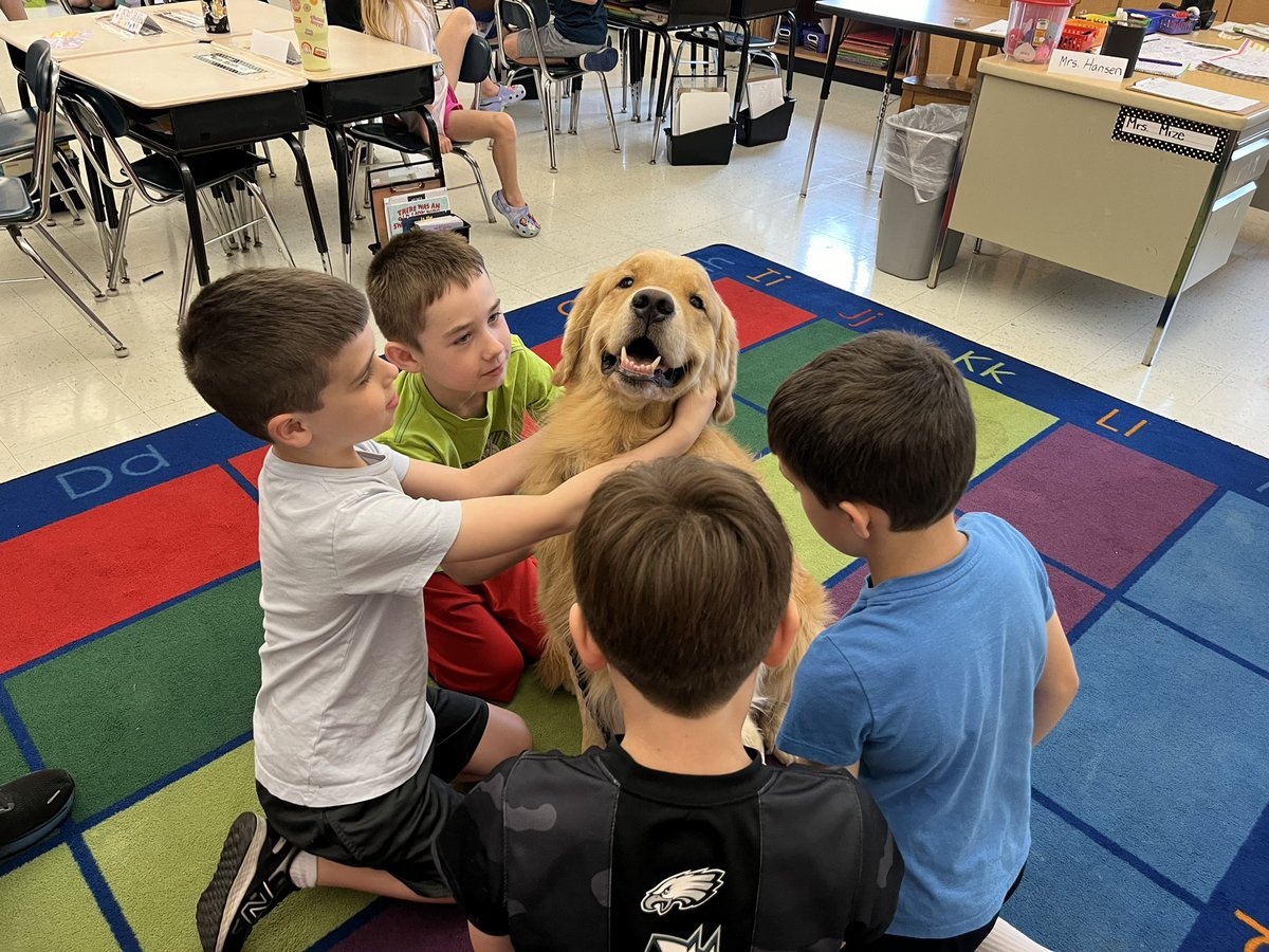 MrsMizesClass's tweet image. Today was our last day with @Tom_The_Golden!! Tom helped us with our reading fluency, he brought many smiles to our faces, and he filled our classroom with love! I think it’s safe to say we will ALL miss him! I also think it’s safe to say he LIKED his pup cake!!❤️🦮📚🧁