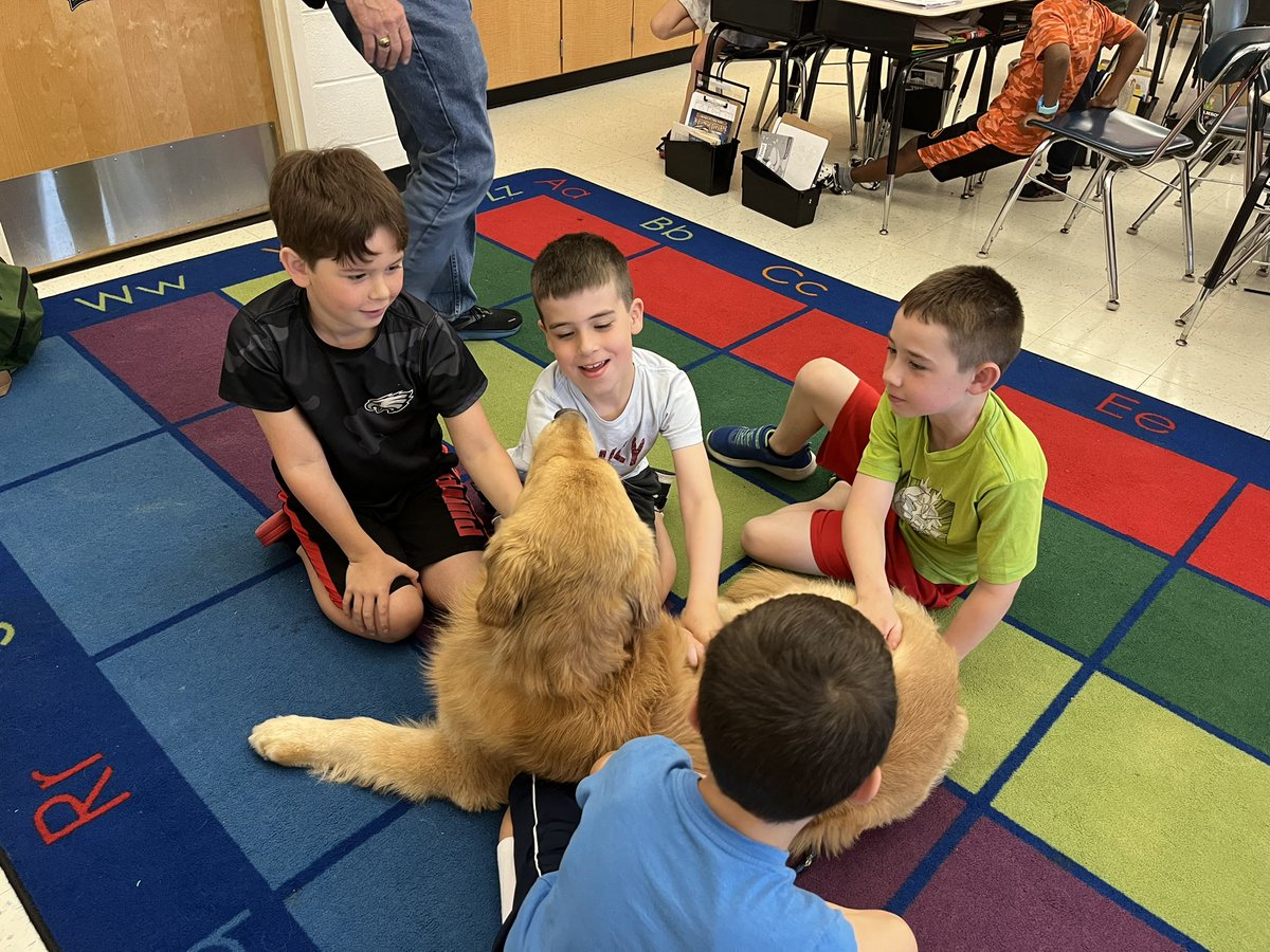 MrsMizesClass's tweet image. Today was our last day with @Tom_The_Golden!! Tom helped us with our reading fluency, he brought many smiles to our faces, and he filled our classroom with love! I think it’s safe to say we will ALL miss him! I also think it’s safe to say he LIKED his pup cake!!❤️🦮📚🧁
