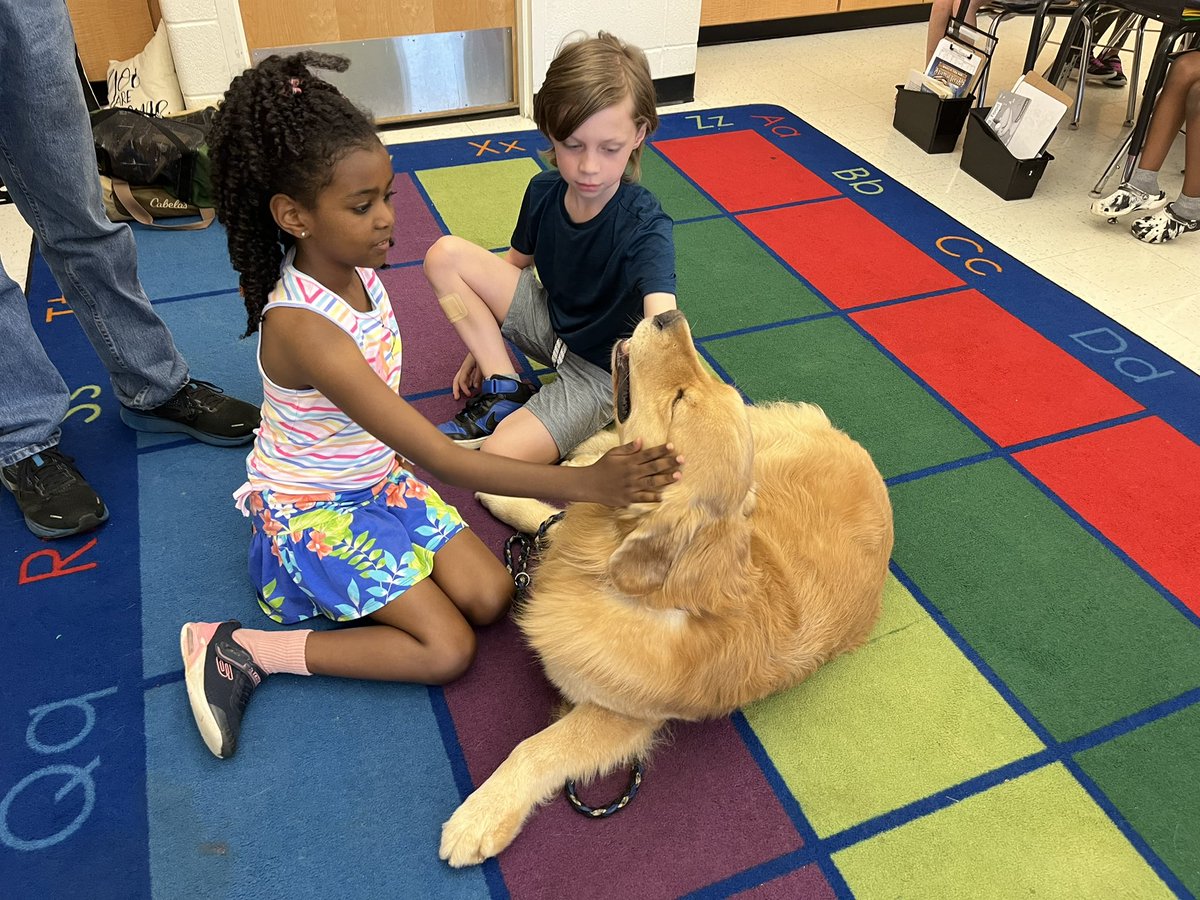 MrsMizesClass's tweet image. Today was our last day with @Tom_The_Golden!! Tom helped us with our reading fluency, he brought many smiles to our faces, and he filled our classroom with love! I think it’s safe to say we will ALL miss him! I also think it’s safe to say he LIKED his pup cake!!❤️🦮📚🧁
