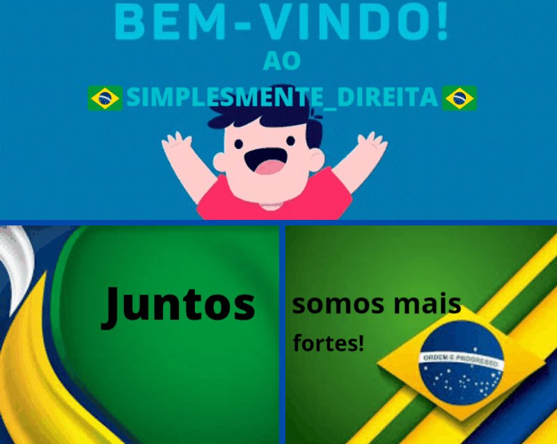 🇧🇷SIMPLESMENTE_DIREITA🇧🇷 tweet media