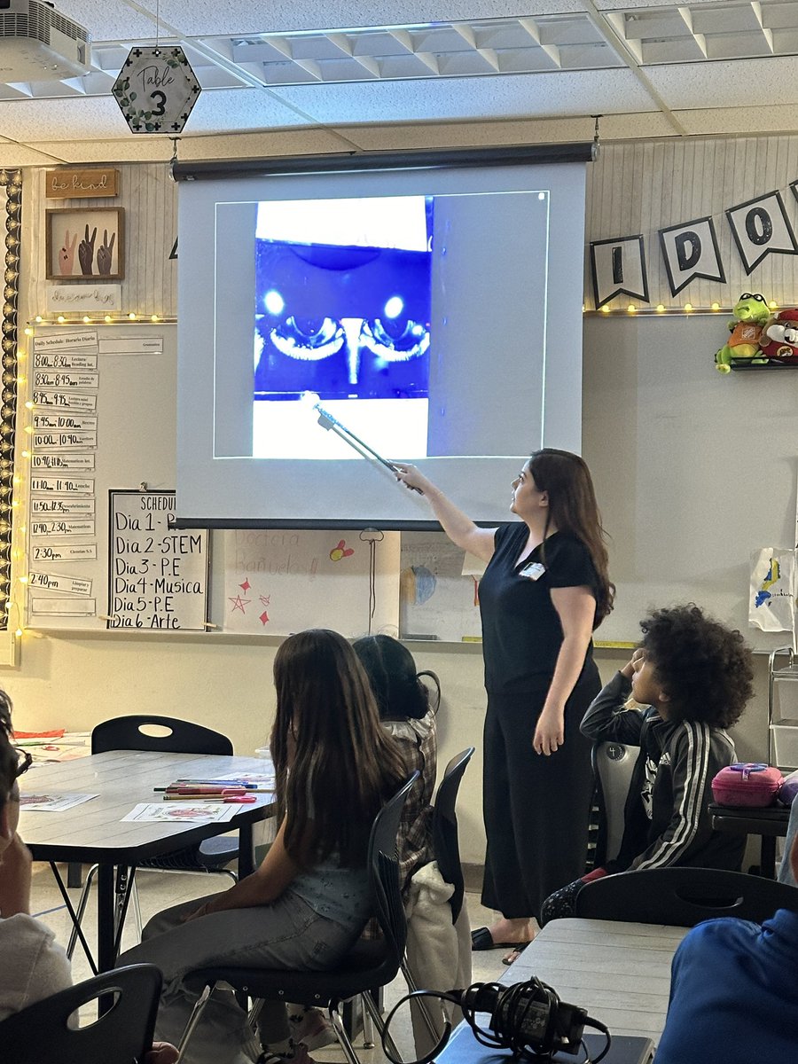 Exciting day in the classroom! My prima Dra. Bañuelos, a recent optometry school graduate, gave an incredible bilingual presentation about the eye. My students were fascinated and inspired! 👁️ 👩🏻‍🏫#FutureDoctors #ScienceInAction'