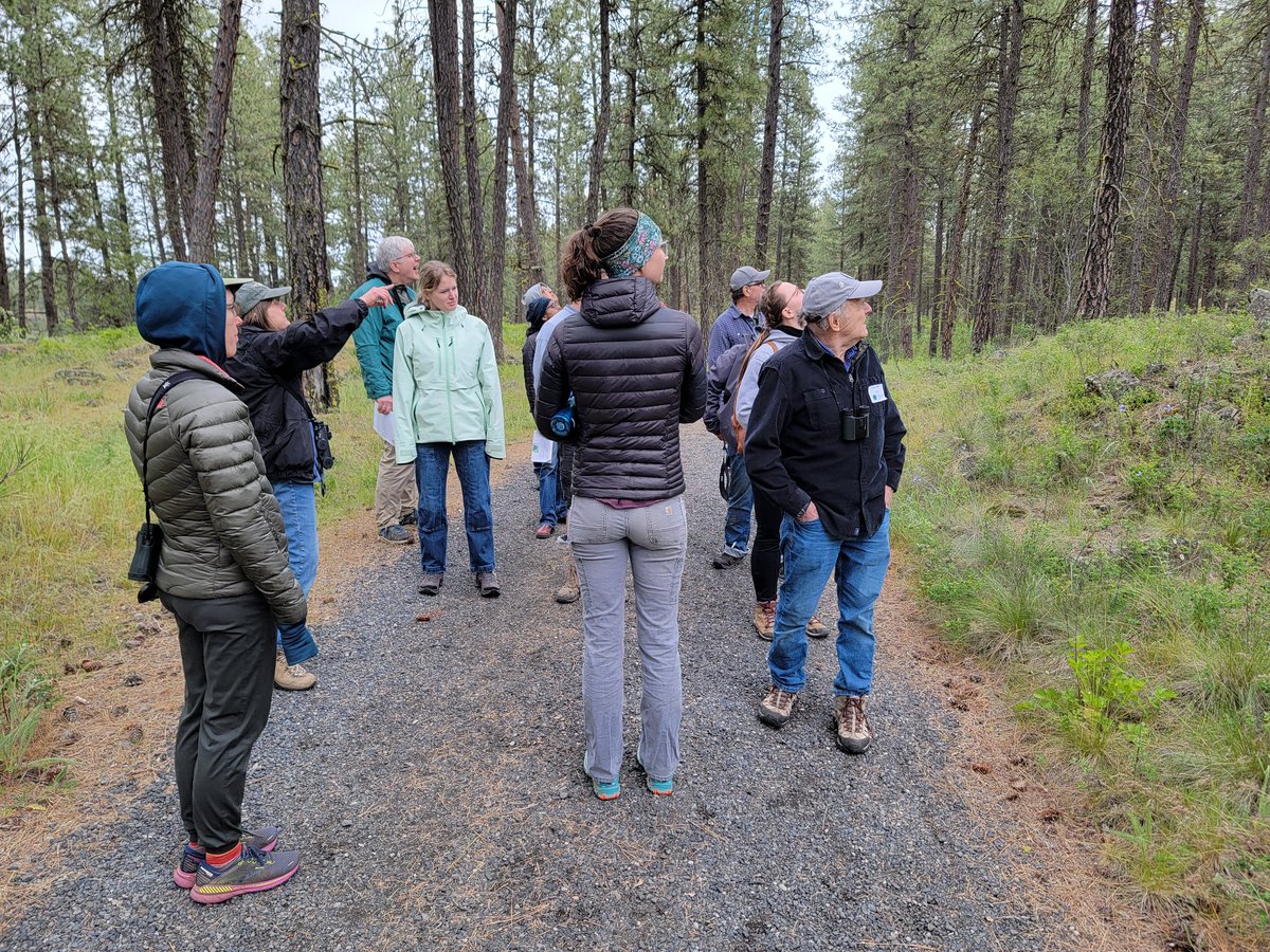 Morphology & Ecology Across Time Lab at Gonzaga tweet media