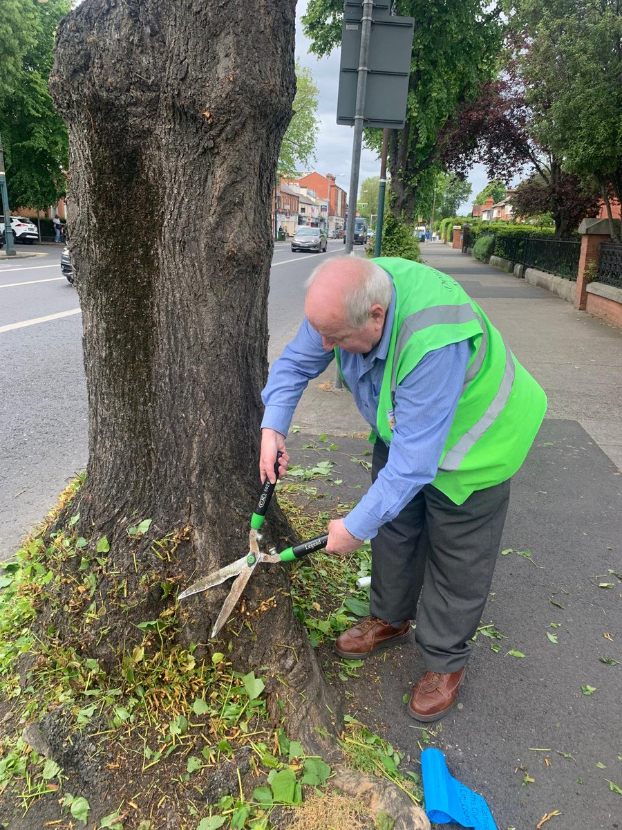 Donnybrook TidyTowns tweet media