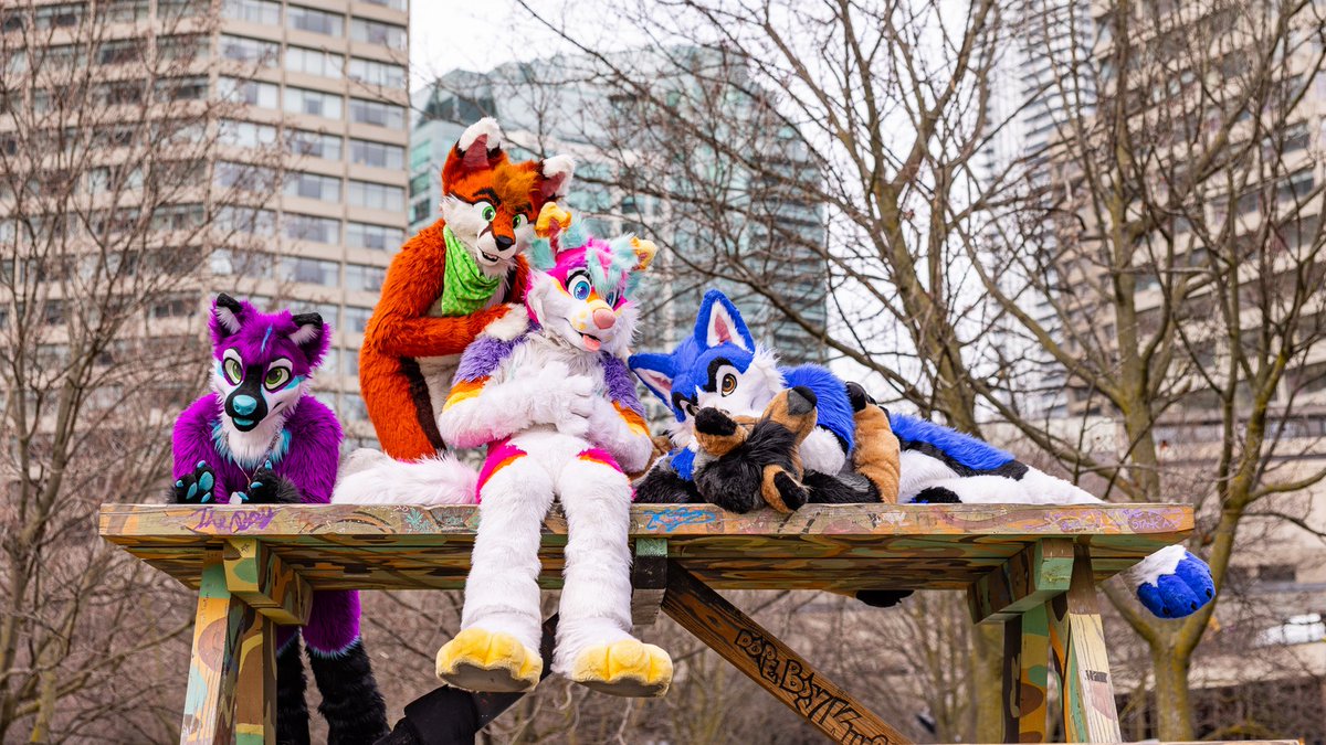 Just a bunch of crazy animals 😋 Bein all silly with @CycurCanine ☁️Vexit @avwuff and @egnartswolf 📷= @gryphonfluff