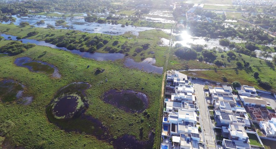 INACREDITÁVEL! Mesmo após a catástrofe climática que atinge o Rio Grande do Sul, o prefeito Edvaldo Nogueira enviou à Câmara de Aracaju o PL 124/2024, que flexibiliza a legislação ambiental e autoriza a devastação em Áreas de Preservação Permanentes (APPs).👇(+) 📷 Myrna Landim