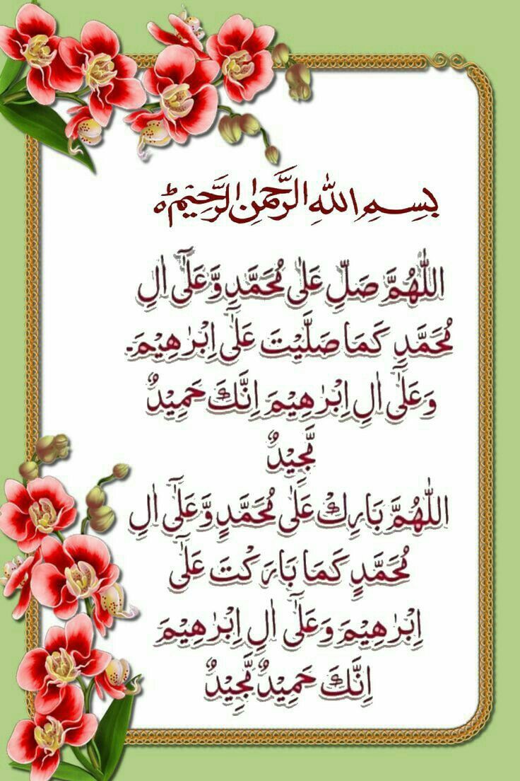 Majestic Charm 🪴 tweet media