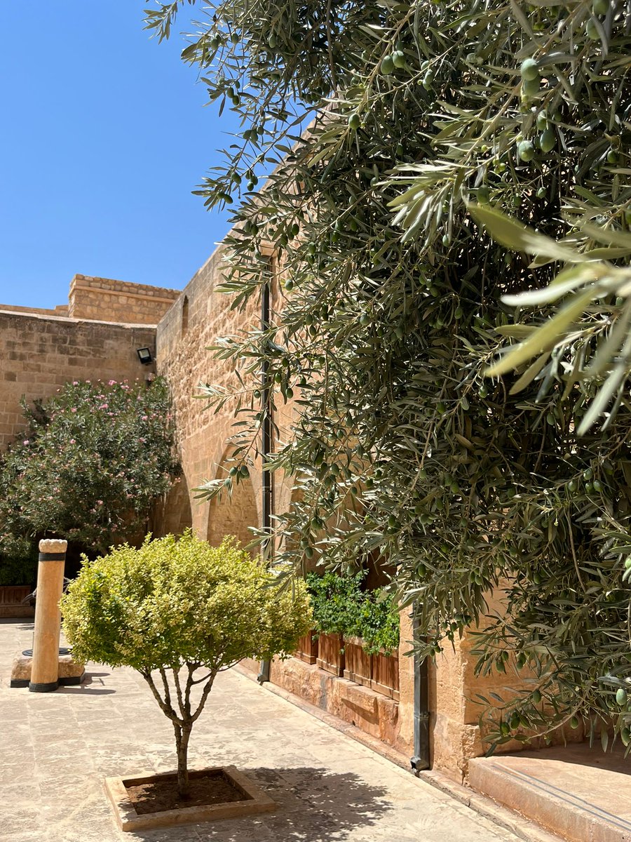 Ammo Bahe♦️

Kırmızı çoraplı çocuğun Deyruzzaferan'daki bitmeyen bekleyişi.

''Beni burada bekle oğlum. Bir gün mutlaka seni almaya geleceğim.''

Ayaklarında kırmızı çoraplarıyla annesine son kez baktı Bahe.

Ne olduğuna anlam veremiyordu. Annesi neden onu bırakıp gidiyordu? ++