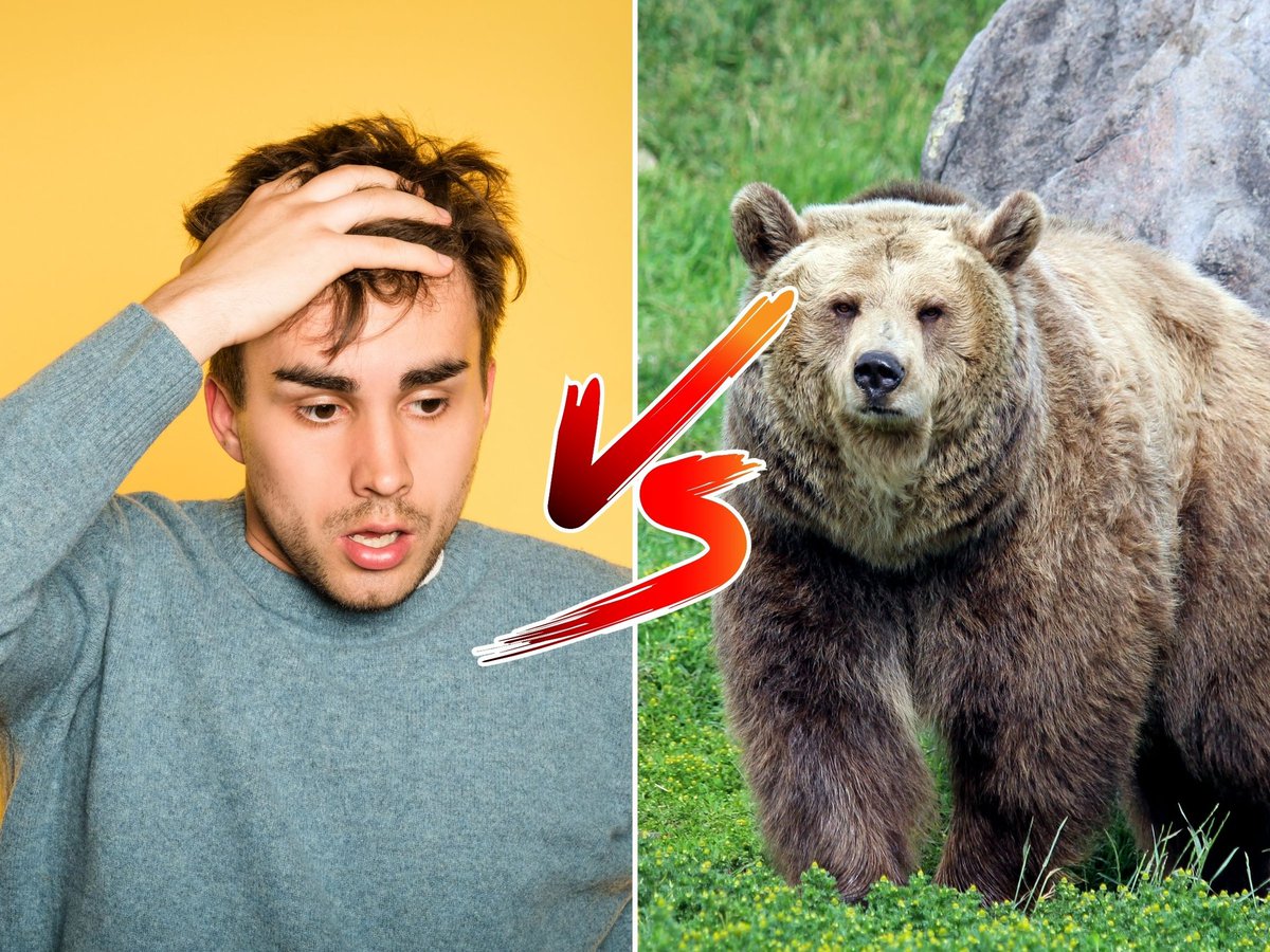 Here is my take on Man vs. Bear debate: women, when sexually assaulted, are not often believed when they report that they have been abused. In some cases, it takes a significant amount of convincing even to get the man charged or to face consequences. Picking the bear means that