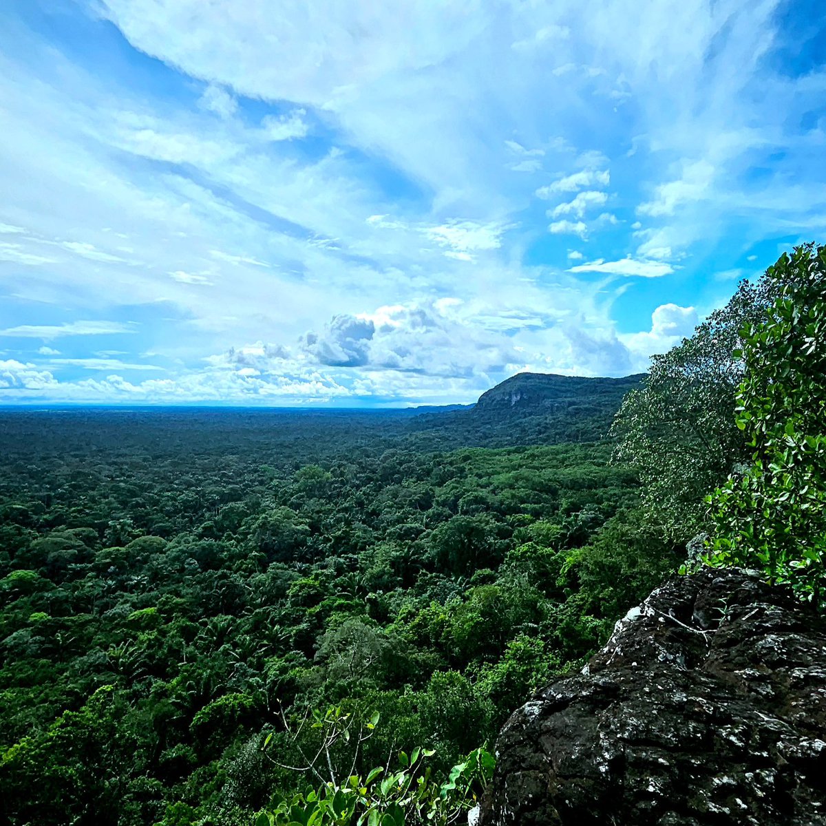 San José del Guaviare es un paraíso poco visitado por su historia con el conflicto armado, pero desde el 2016 con el proceso de paz es completamente seguro ir a conocer esta maravilla de lugares llenos de historia y vida.