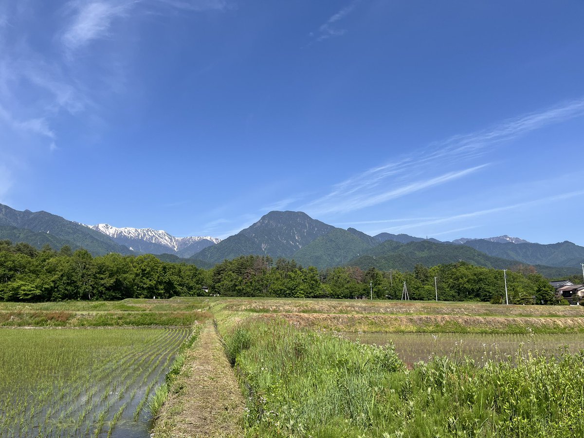 北アルプス定点観測
5月24日金曜日
9:05 安曇野は晴れ
気温18℃
雲量3 巻雲、飛行機雲
上空に湿った空気が入っているようです。飛行機雲がきれいに見えます。