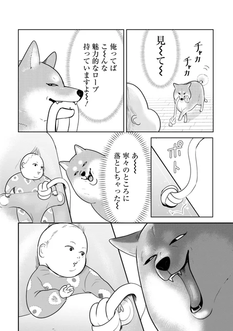 "かわいい"と思われたい柴犬(1/3) #漫画が読めるハッシュタグ 