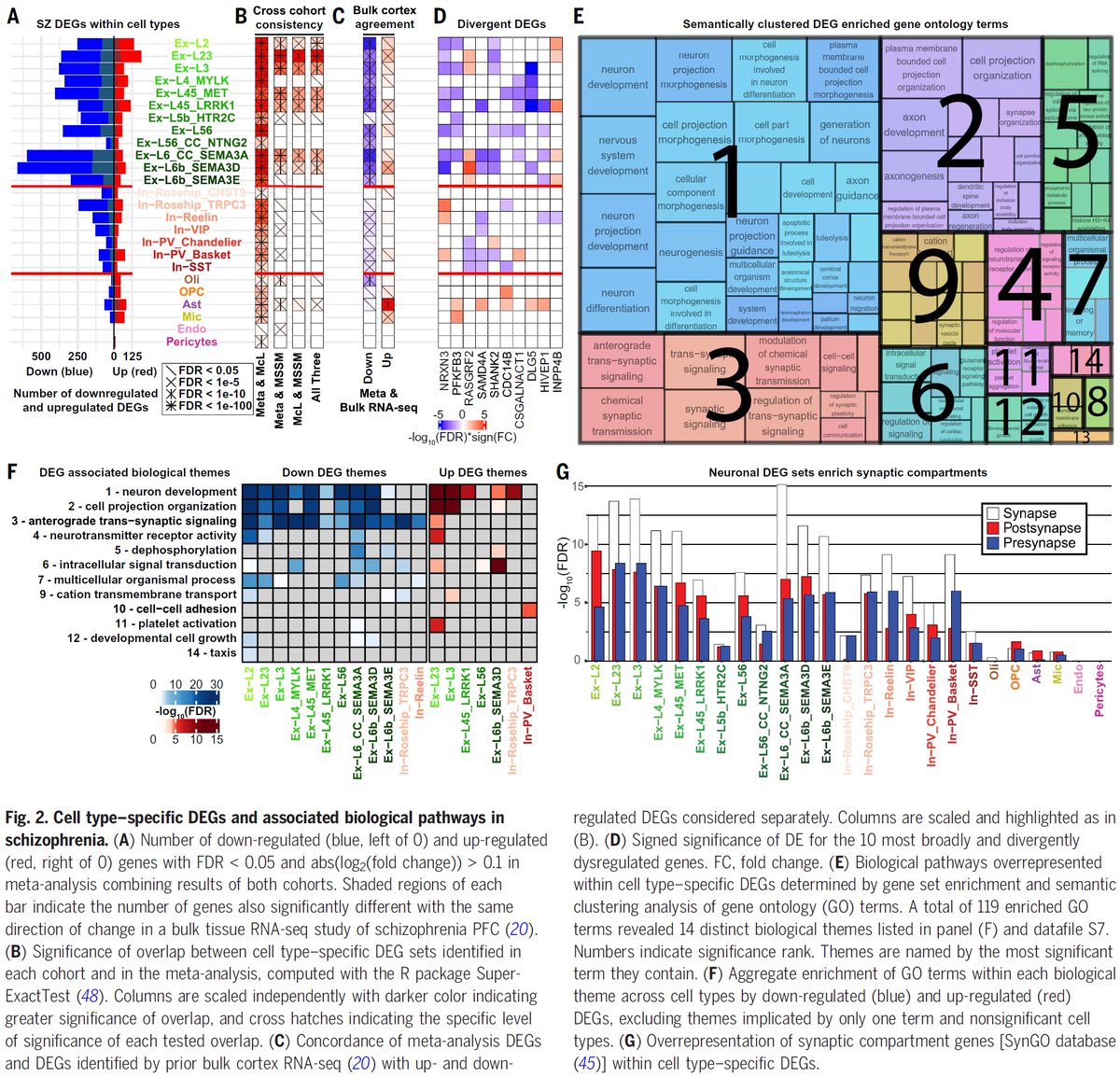 Manolis Kellis tweet media