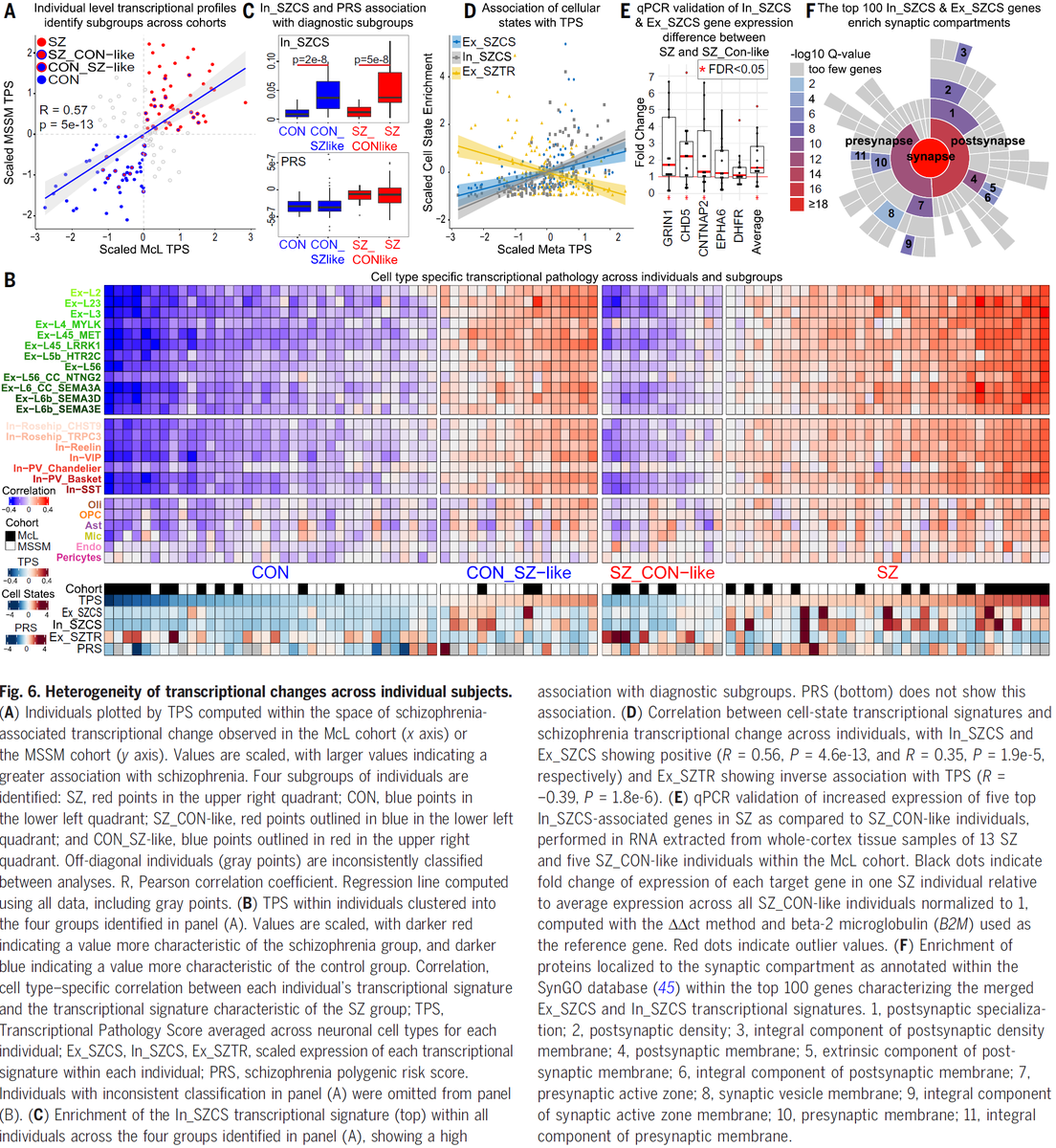 Manolis Kellis tweet media