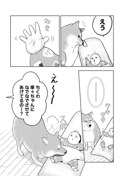 "かわいい"と思われたい柴犬(3/3) 