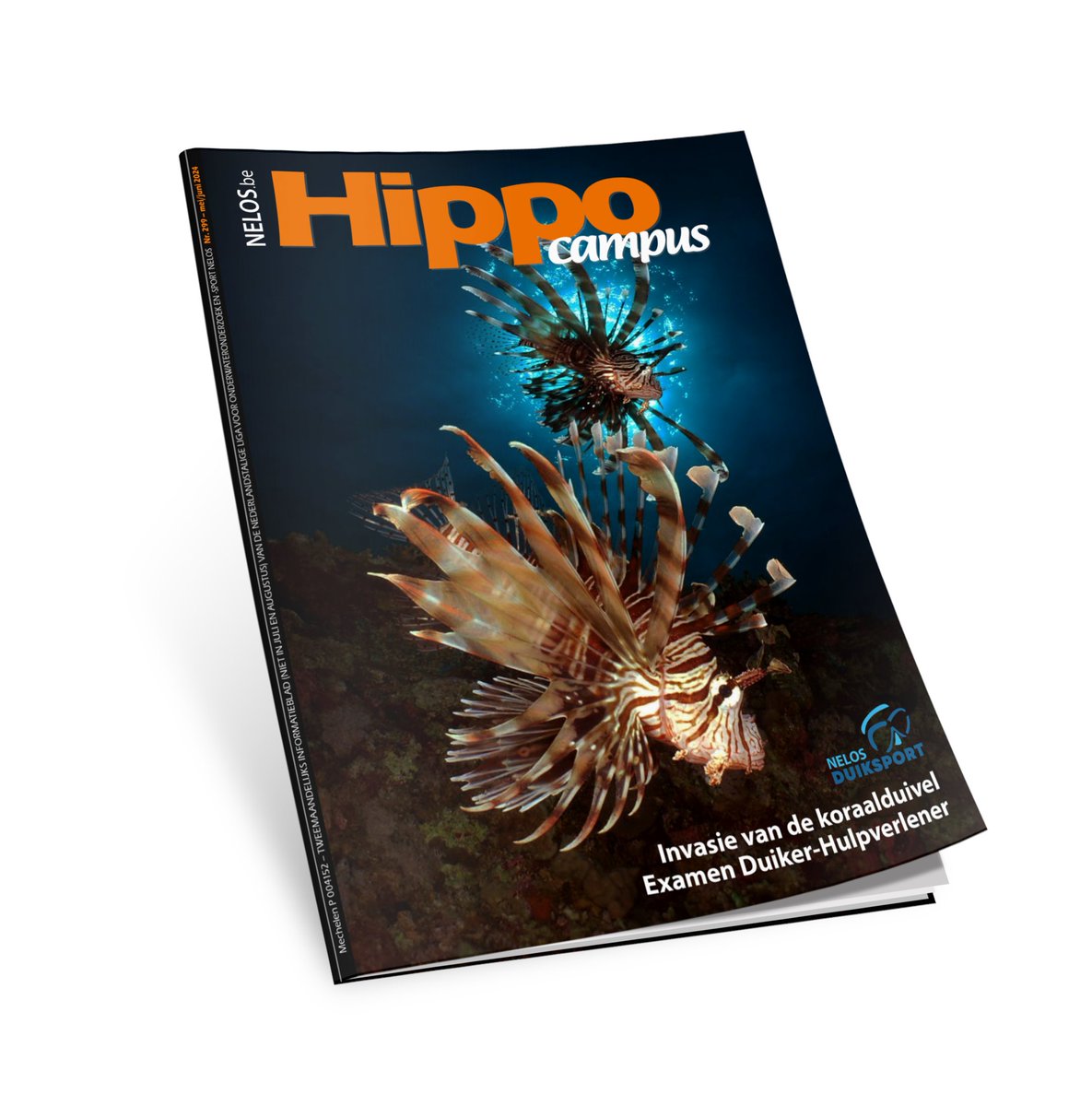 Hippocampus nr. 299 (mei/juni 2024) is ondertussen bij de meeste leden aangekomen. Je kan hem ook (gratis) digitaal lezen. De volledige uitgave van 100 blz. (pdf 21.50 MB) kan je downloaden op pagina leden.nelos.be/artikel/Hippo2…
#hippocampus #duikmagazine #nelos #nelosvzw