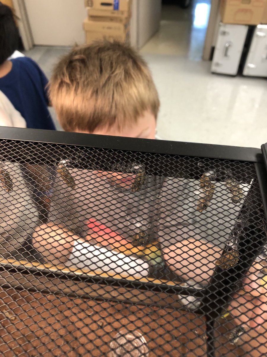 MsKaraoulis tweet media