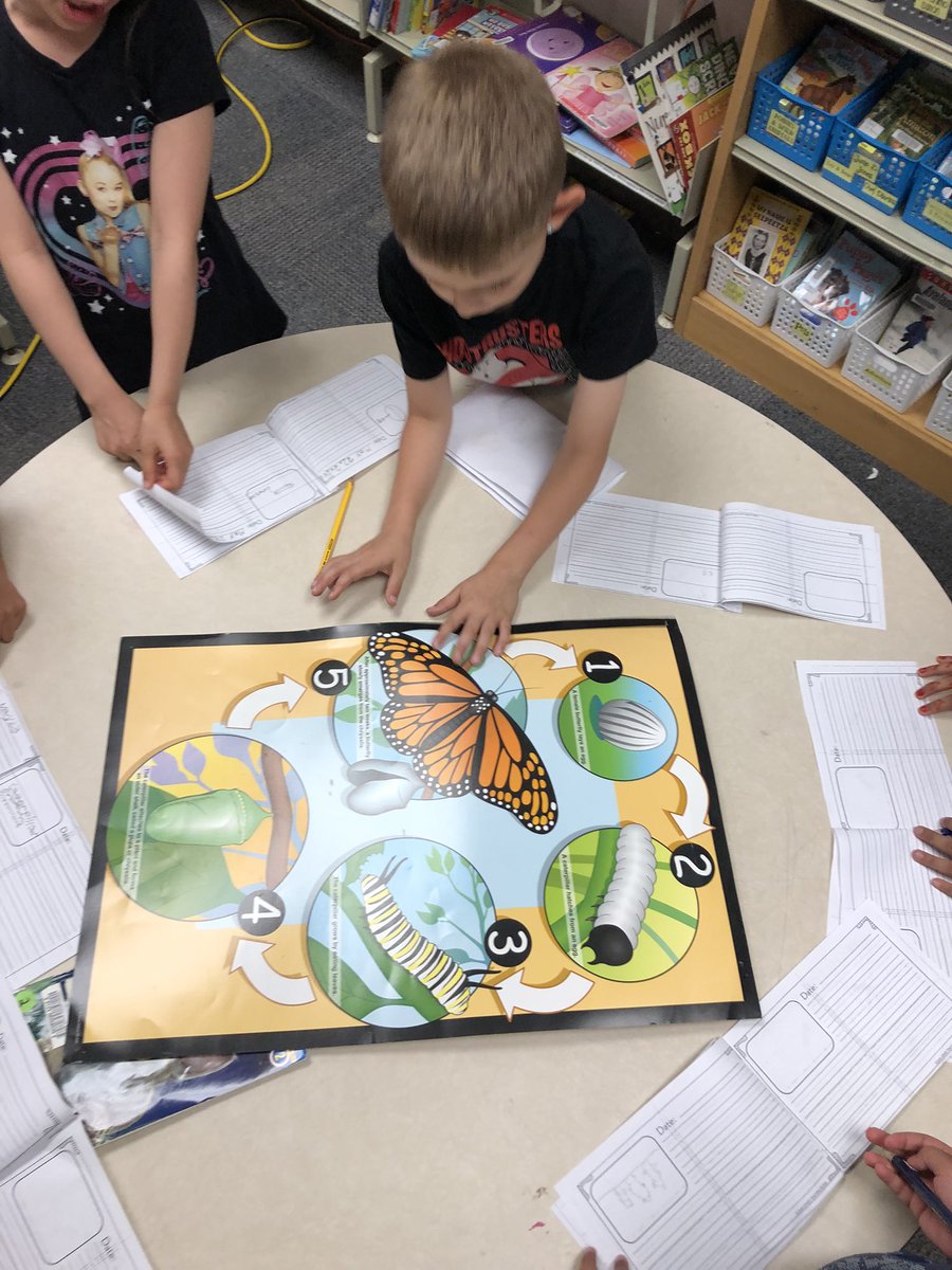 MsKaraoulis tweet media