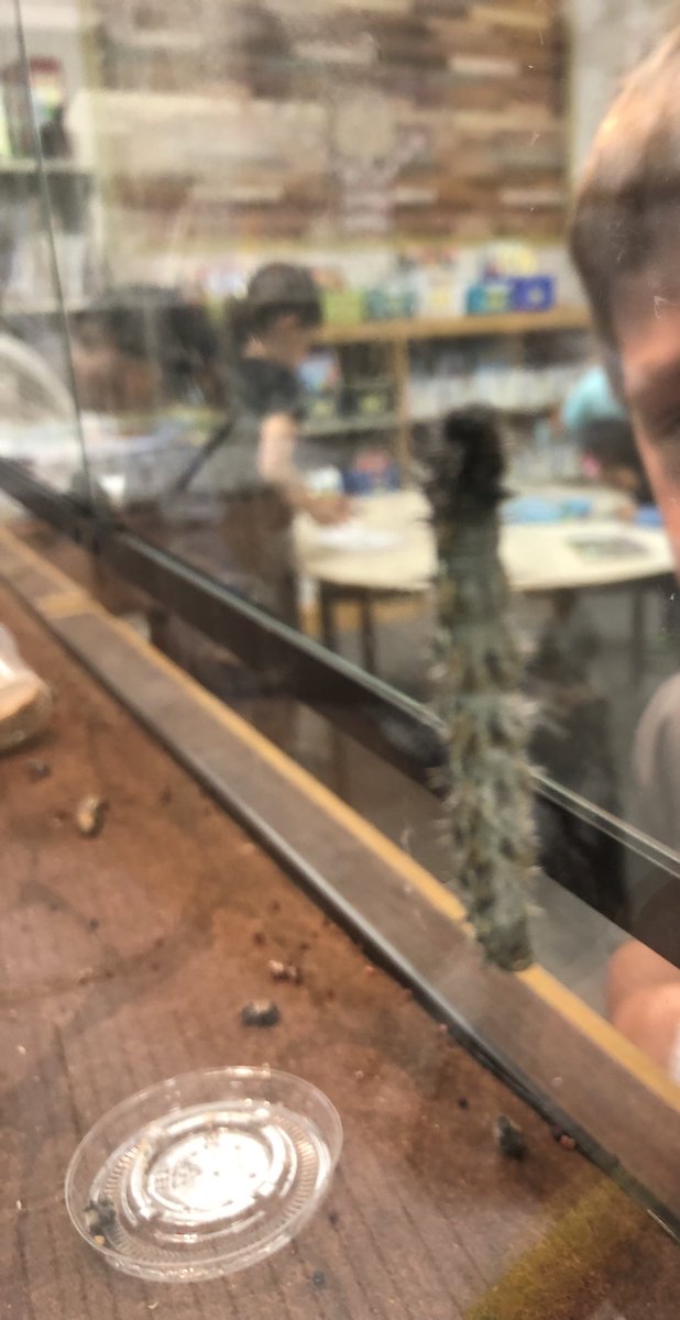 MsKaraoulis tweet media