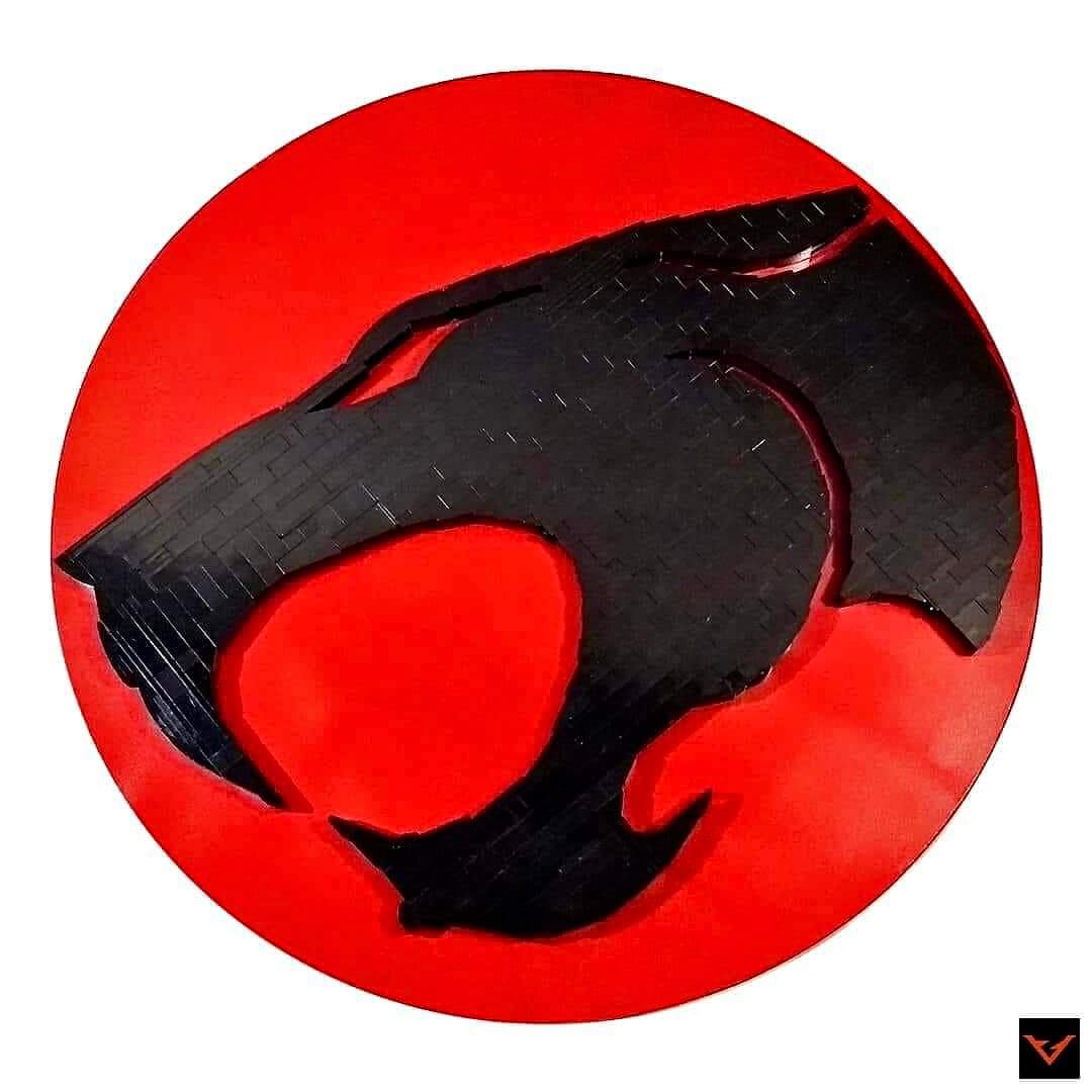 A cartoon from the past that kids today probably never heard of. Thunder cats