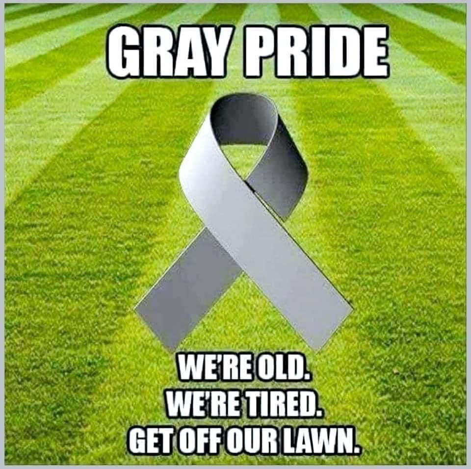 Mariam Hamou tweet media