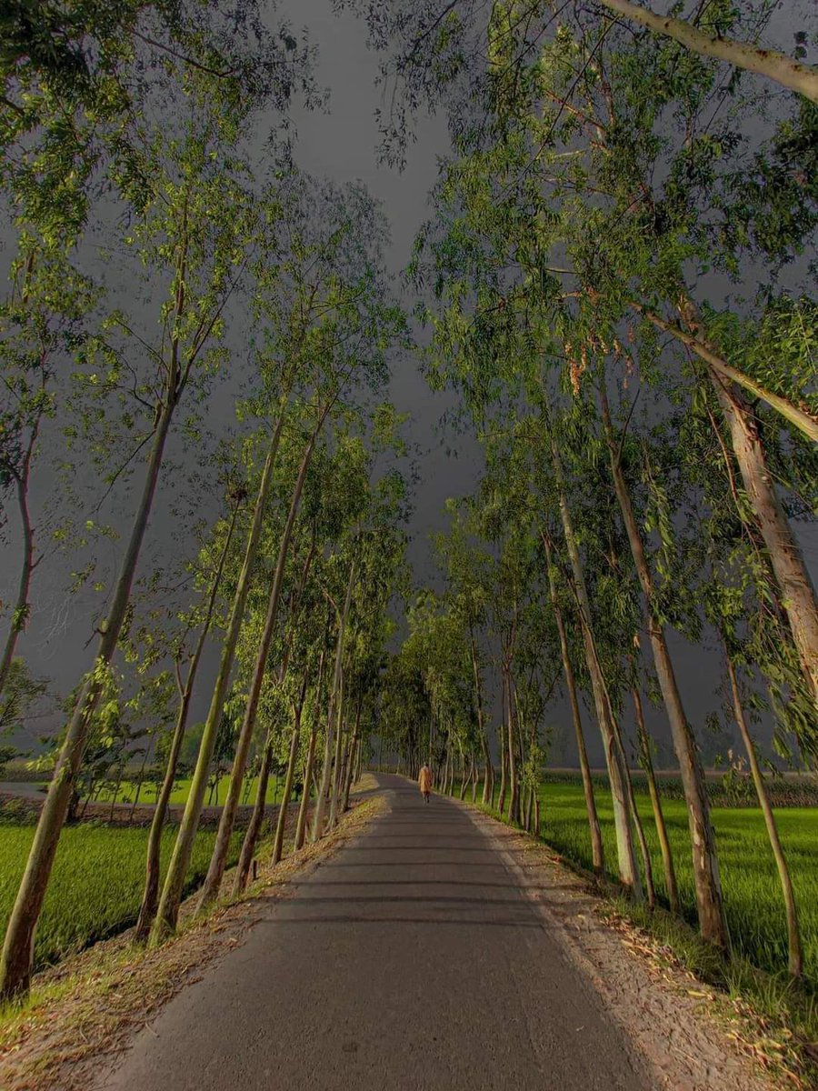 Момент приходу дощу прекрасніший за самий дощ.