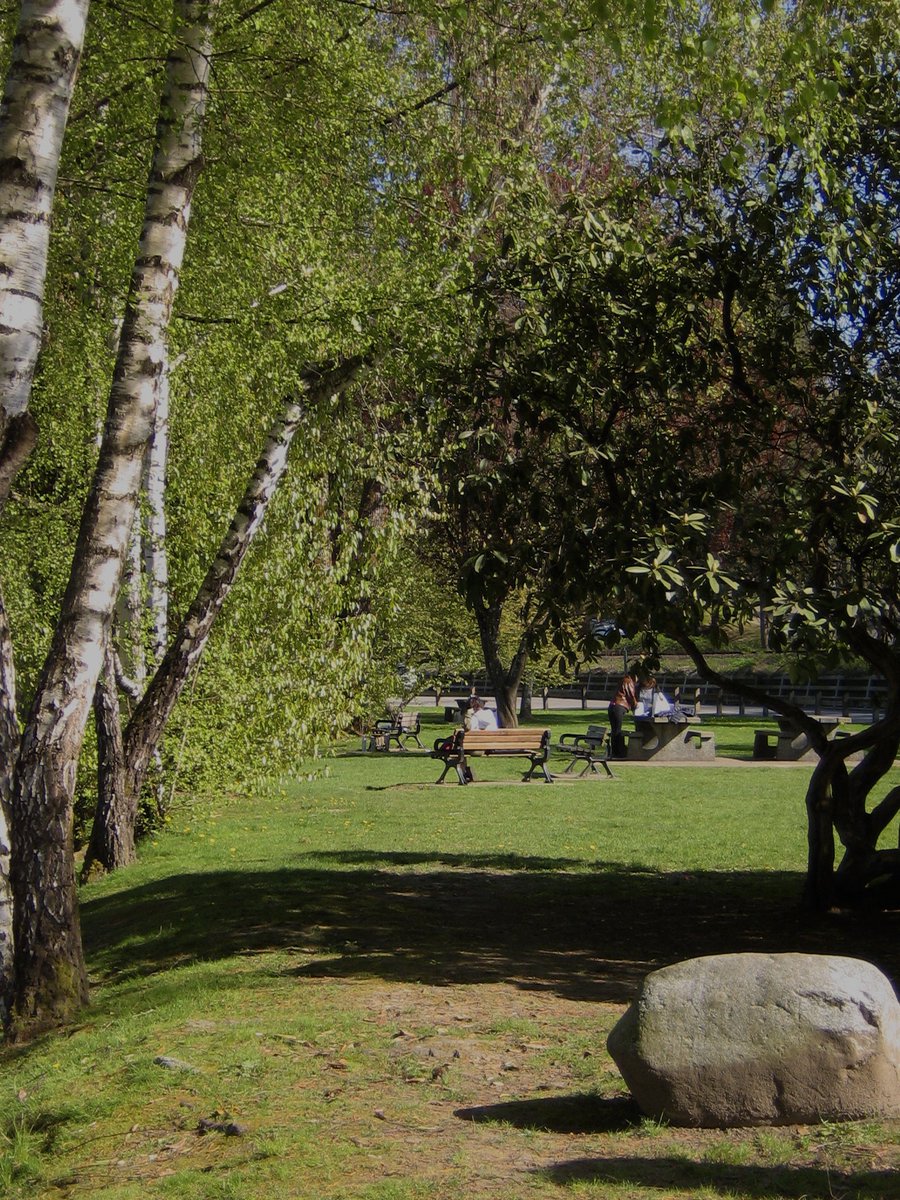 sofpo915's tweet image. 여름이 좋은이유

하늘도 파란데 나무는 미치도록 푸르러서