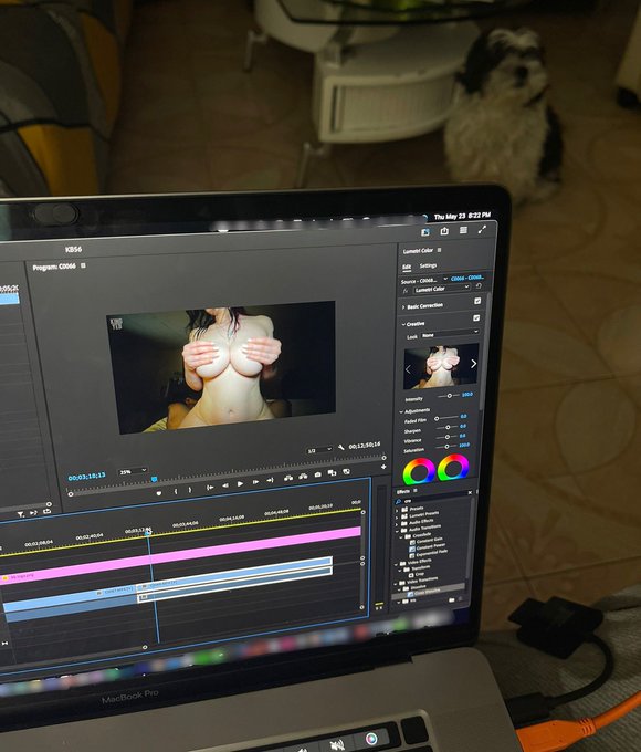 1K likes &amp; (200 Rts) and I drop this FULL 4K video on PH tomorrow with @tinybeyx 🔥 - includes 🍒-fckin'<a href="/tag/mvsales"class="tags"><span>#mvsales</span></a>