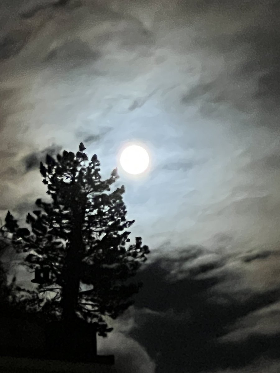 Einfach Lesen Bern tweet media