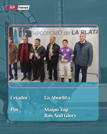 Revista Palermo tweet media