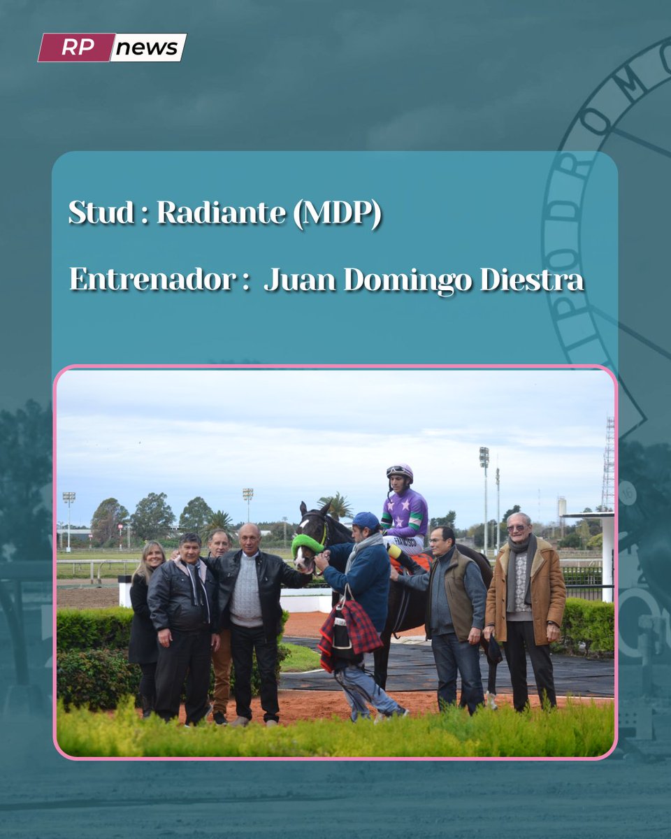 Revista Palermo tweet media