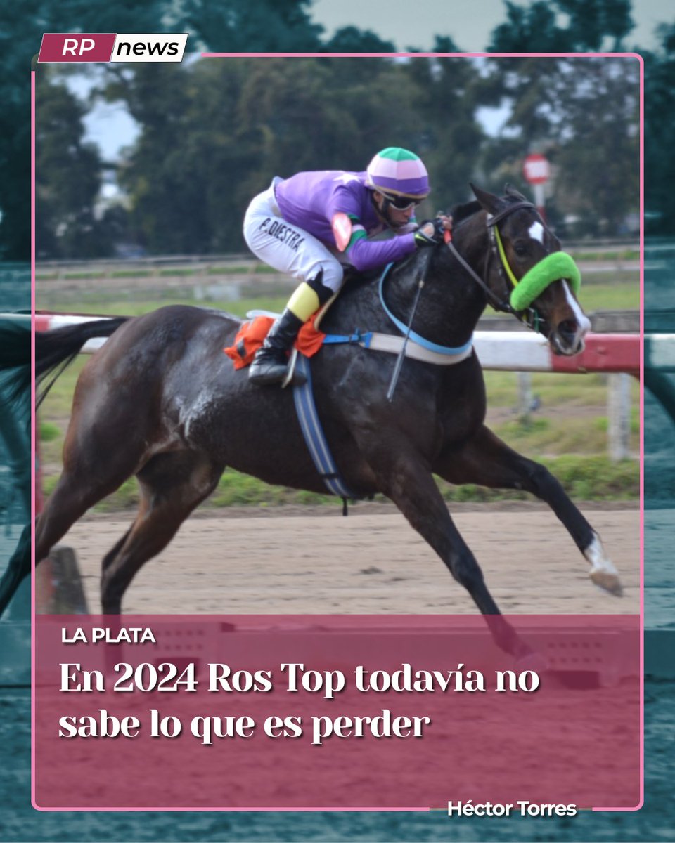 Revista Palermo tweet media