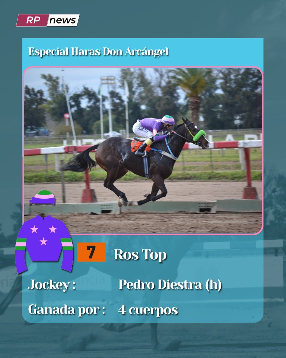 Revista Palermo tweet media