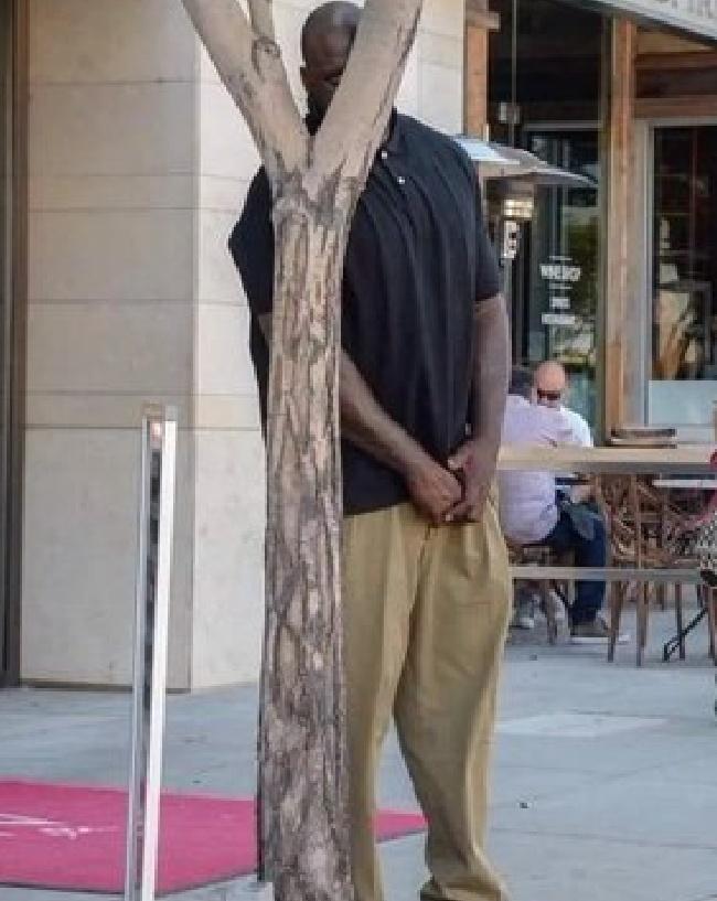 Yo ocultando mis ganas de invitarte a dormir con este frío