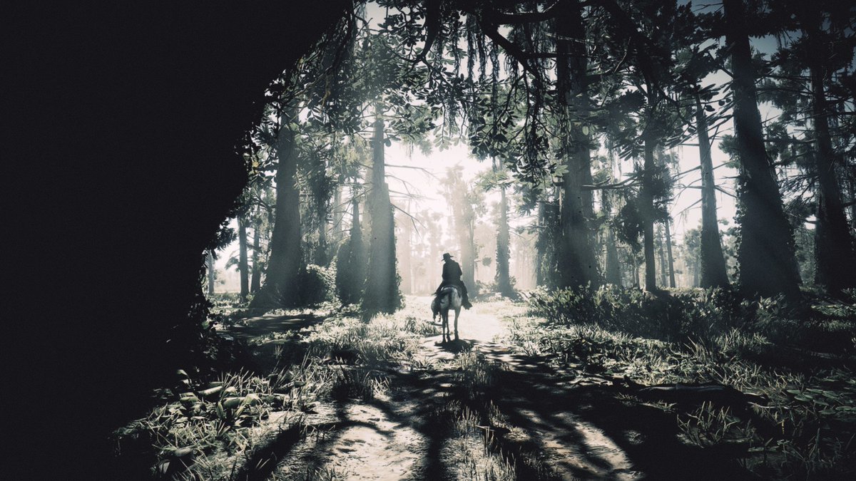 Peace-gunfire-peace #RedDeadRedemption2 #RDR2Adventures #RDR2 #Screenshots #VPRT #virtualphotograpy #Virtualadventure #JohnMarston #VPGamers #pcgaming #photomode