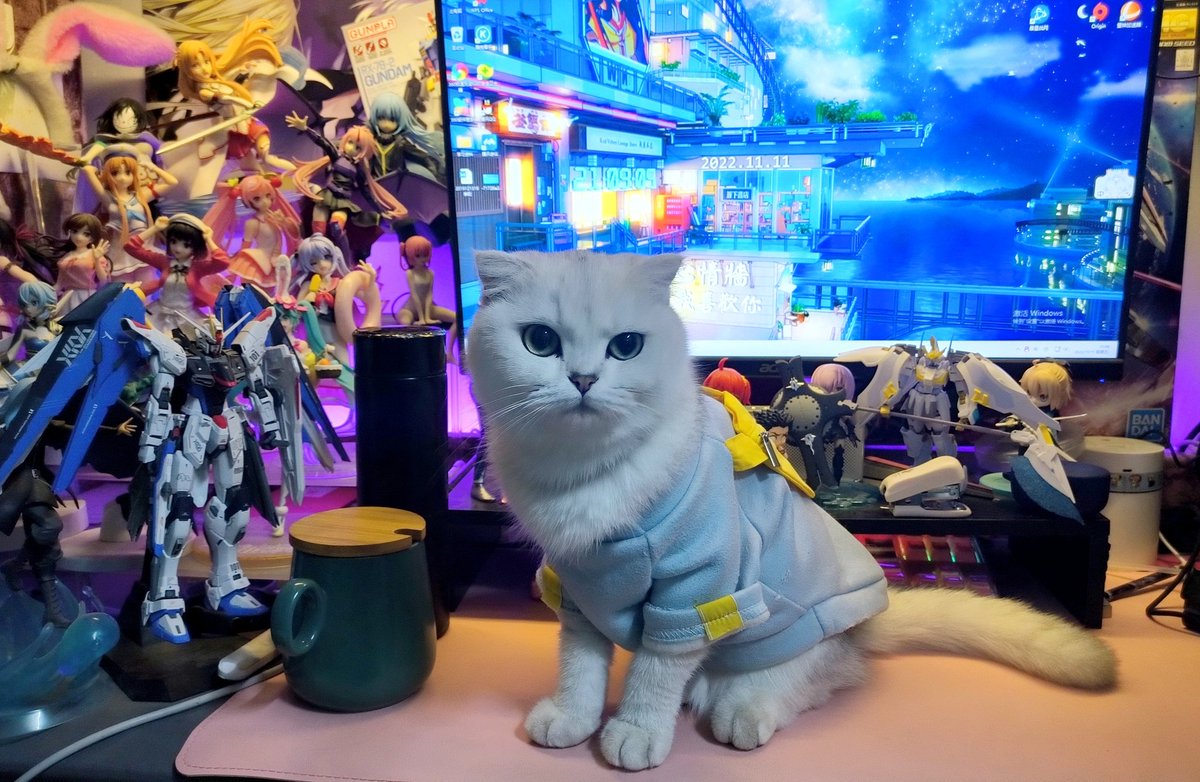 oligami2001's tweet photo. https://t.co/nxsEWckID1