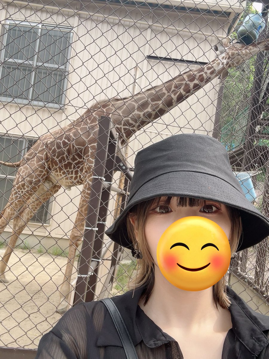 3x3Miki's tweet photo. 30歳になったよ！
髪ショートに戻した！
やっぱショートが一番！！！ https://t.co/ltVsJYYBQl