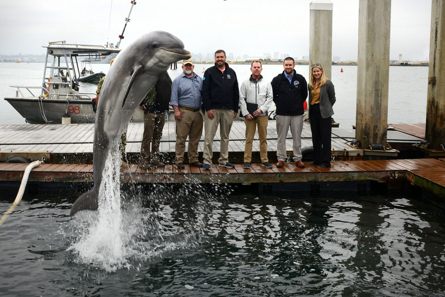 The Pentagon released photos from a tour of the 'training facility for dolphins and sea lions' at the Naval Information Warfare Center Pacific in San Diego. Gotta admit, this is a pretty good one