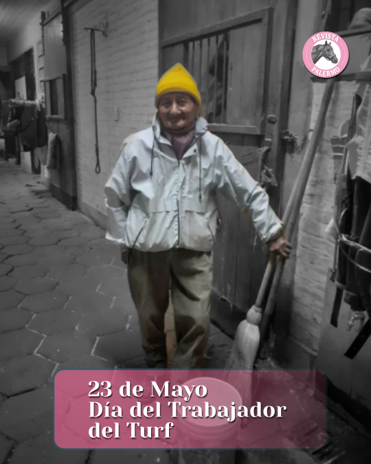 Revista Palermo tweet media