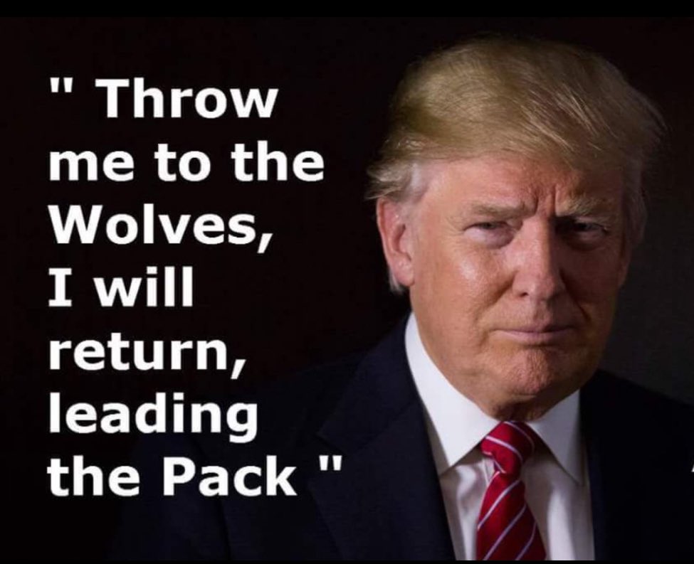 atensnut's tweet photo. I’m a believer. https://t.co/oWieG5CFsG