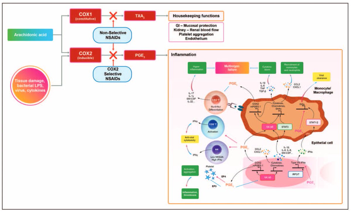 NSAIDs for early management of acute respiratory infections CCR Journal Watch criticalcarereviews.com/latest-evidenc… Get the latest critical care literature every weekend via the CCR Newsletter - subscribe at criticalcarereviews.com/newsletters/su…