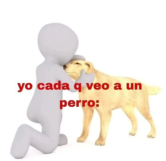 q cosa hermosa los perritos