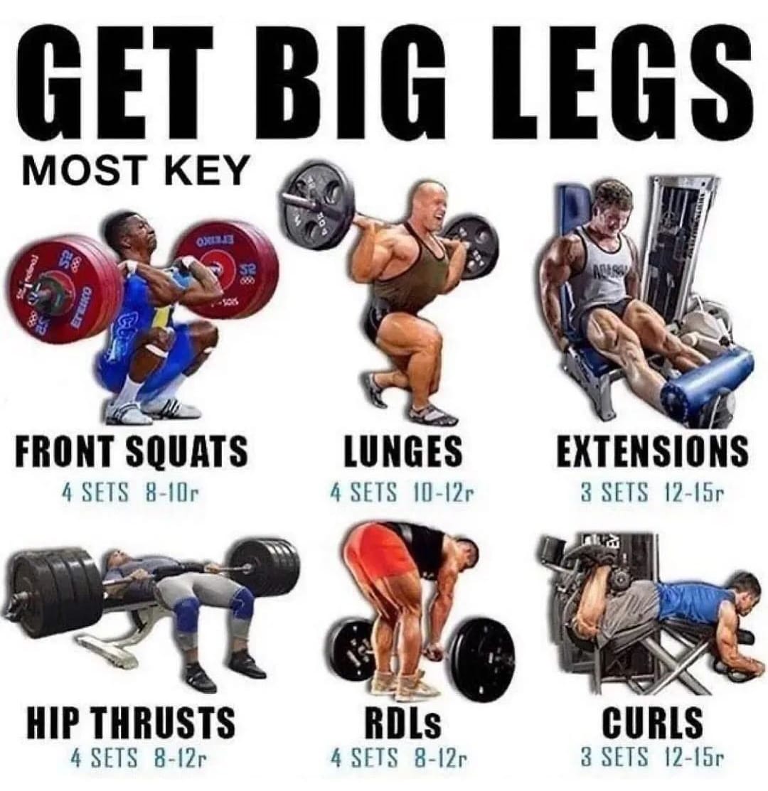 Get Big Legs MOST KEY