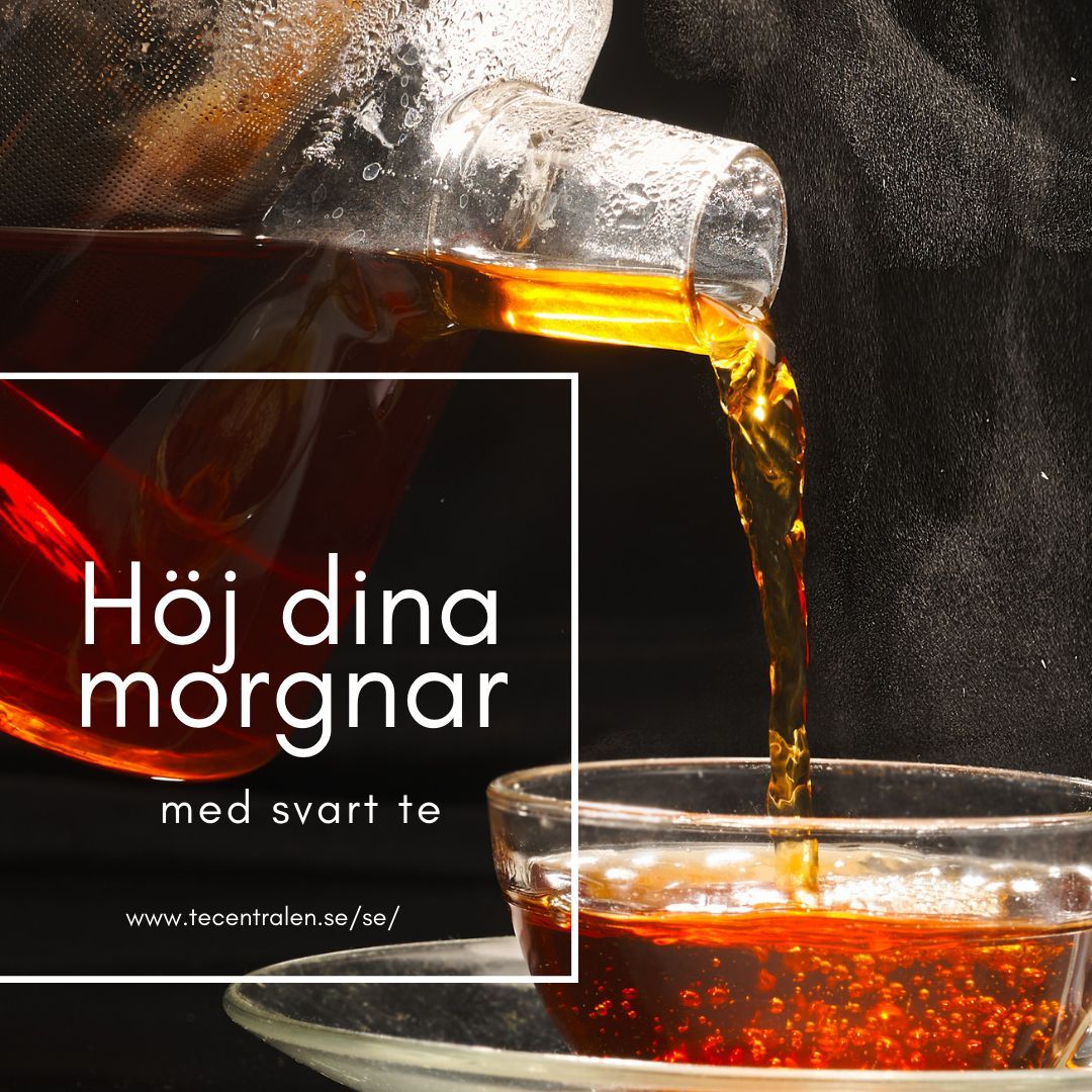 tecentralen's tweet photo. Börja dagen med en rejäl kopp djärvt #svartte! Njut av det tillsammans med rostat bröd och marmelad för en klassisk frukost som sätter scenen för en livlig dag framåt. 🍵

Utforska vår samling av svart te på https://t.co/43HBAMpxu9  

#TeCentralen #Tetidnu https://t.co/kqO4BPd1JB
