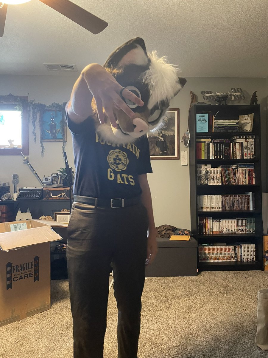 kaikokitty's tweet photo. Kaiko!! made by @EquinoxKitty https://t.co/cCSqeFf9zO