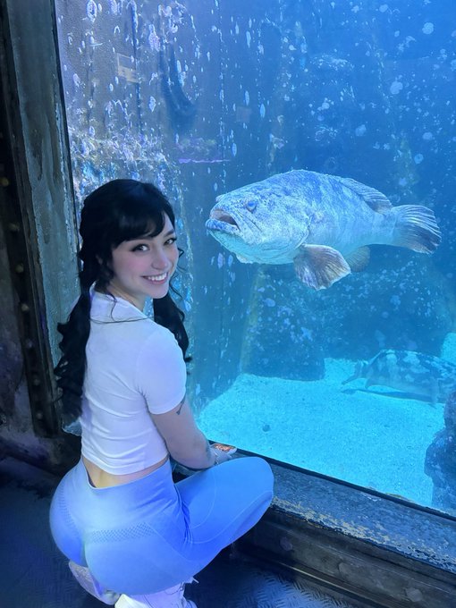 🐟 https://t.co/GJ3kmx9HBc