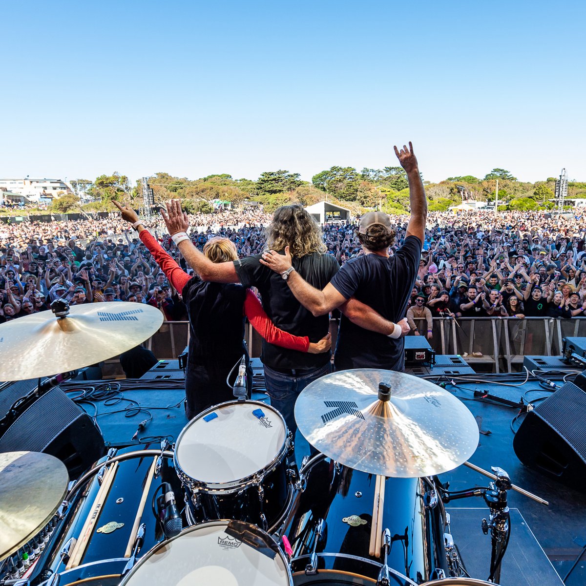 Spiderbait tweet media