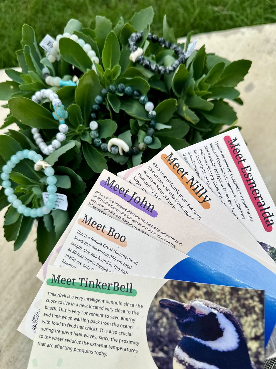 Reached out to <a href="/myfahlo/">Fahlo</a> about my students animal research project &amp; then they donated 5 bracelets/animals for us to track! My students were SO motivated to learn about animals &amp; all the ways they can help too! Thank you for inspiring my students to make an impact in the world 🥰