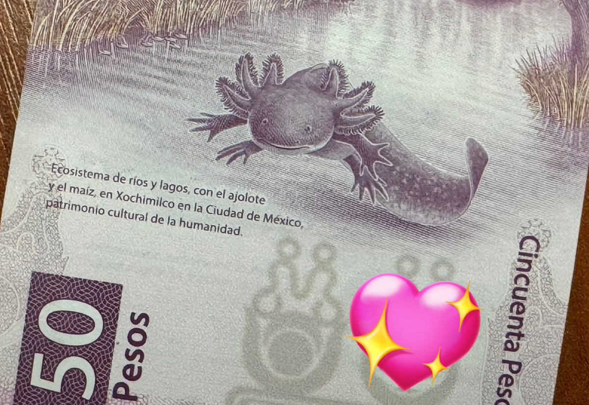 新しい紙幣で思い出したけど、どこかでメキシコの50ペソ手に入らないかな( ﹒︠௰﹒︡)