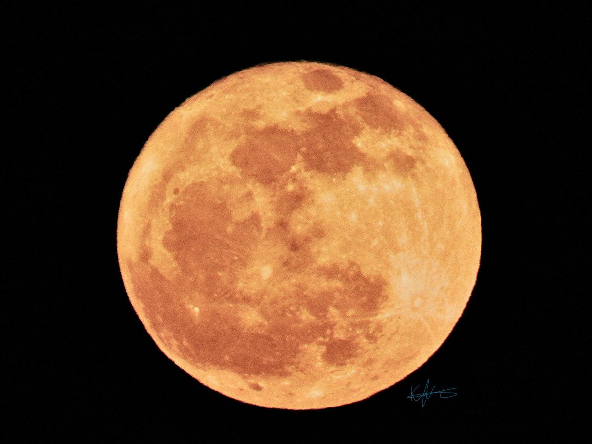 Tonight’s #FullMoon 🌕
#FloridaMoon 😍🌕✨