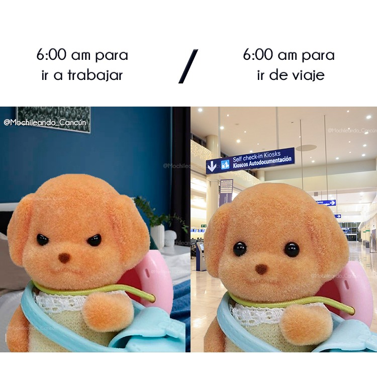 nacional_memes's tweet photo. 🐶 https://t.co/Pce9MU5GDp